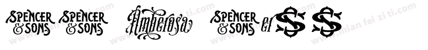 SS Amberosa Serif字体转换
